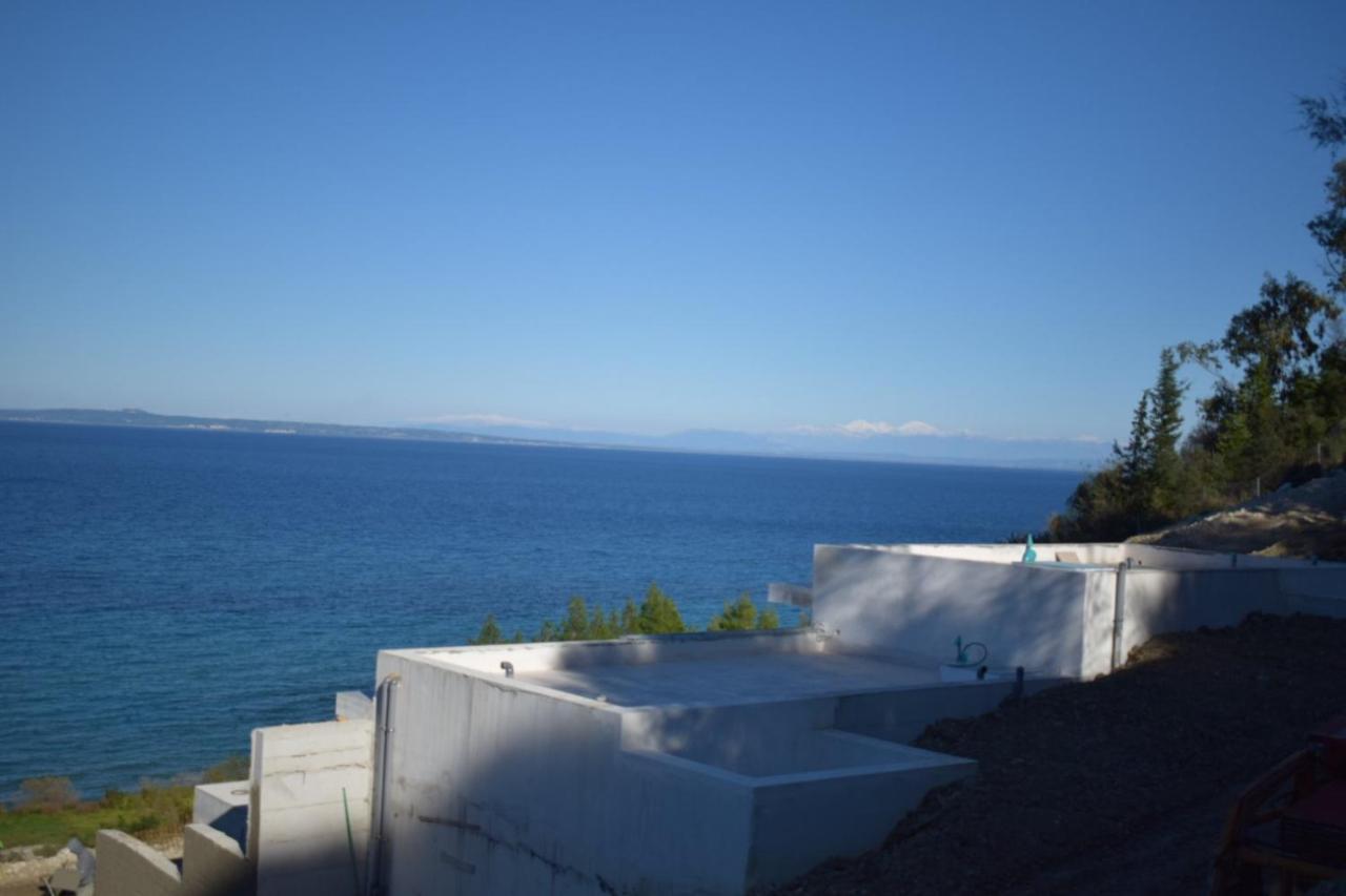 Zante Fiore *